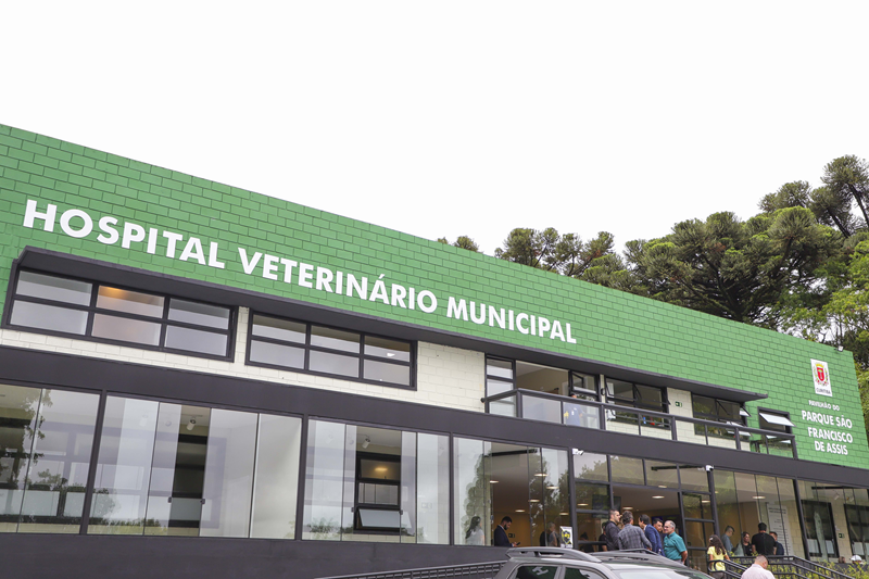 Consulta Veterinária Gratuita Curitiba