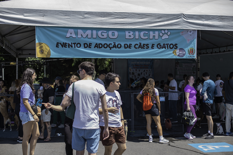 Dezenas De Cães Buscam Família No Evento Amigo Bicho Do Parque Barigui Neste Sábado