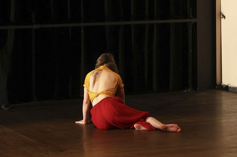 De Carmen Jorge a Nadya Romanowski: Mostra Solar reúne destaques da dança na Casa Hoffmann