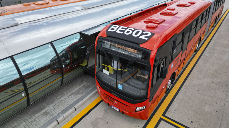 Nova Regra: Curitiba Autoriza Transporte De Cães E Gatos De Pequeno Porte No Ônibus Urbano