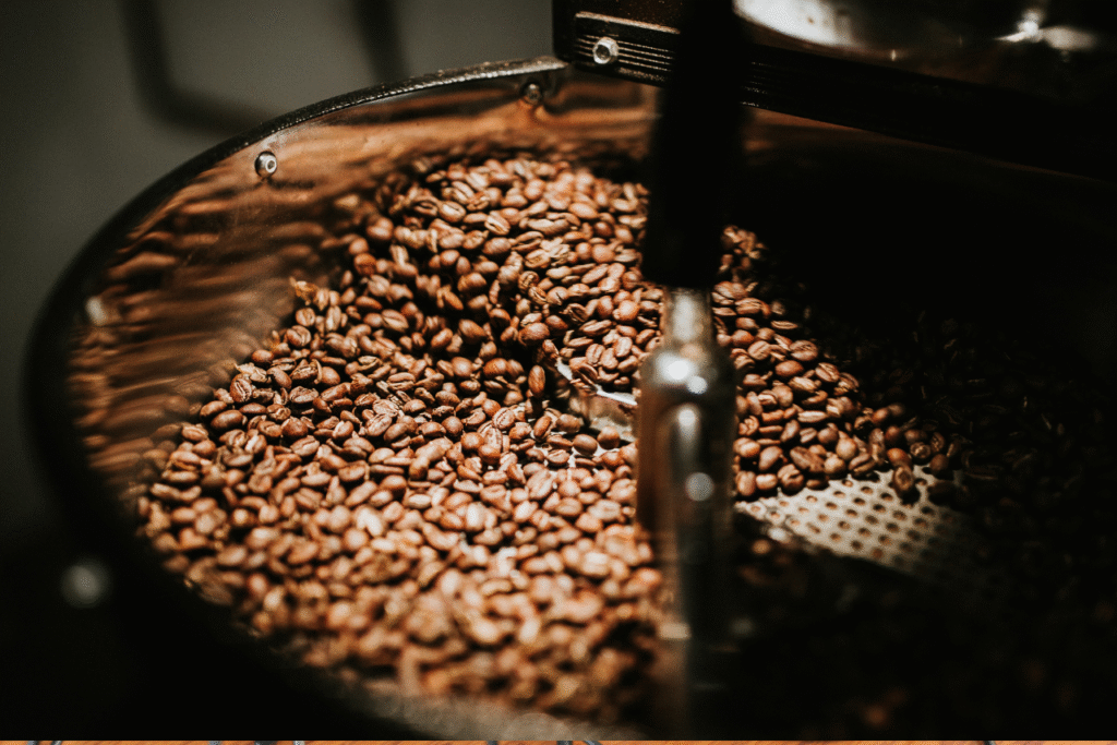 Café Conilon