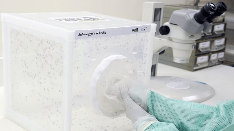 Método Wolbachia PR