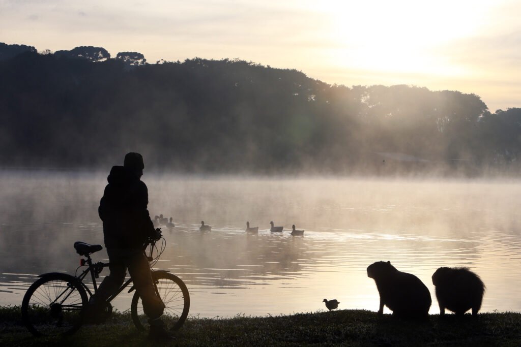 Onda de frio no Paraná se intensifica com previsão de temperaturas negativas e geada nesta sexta