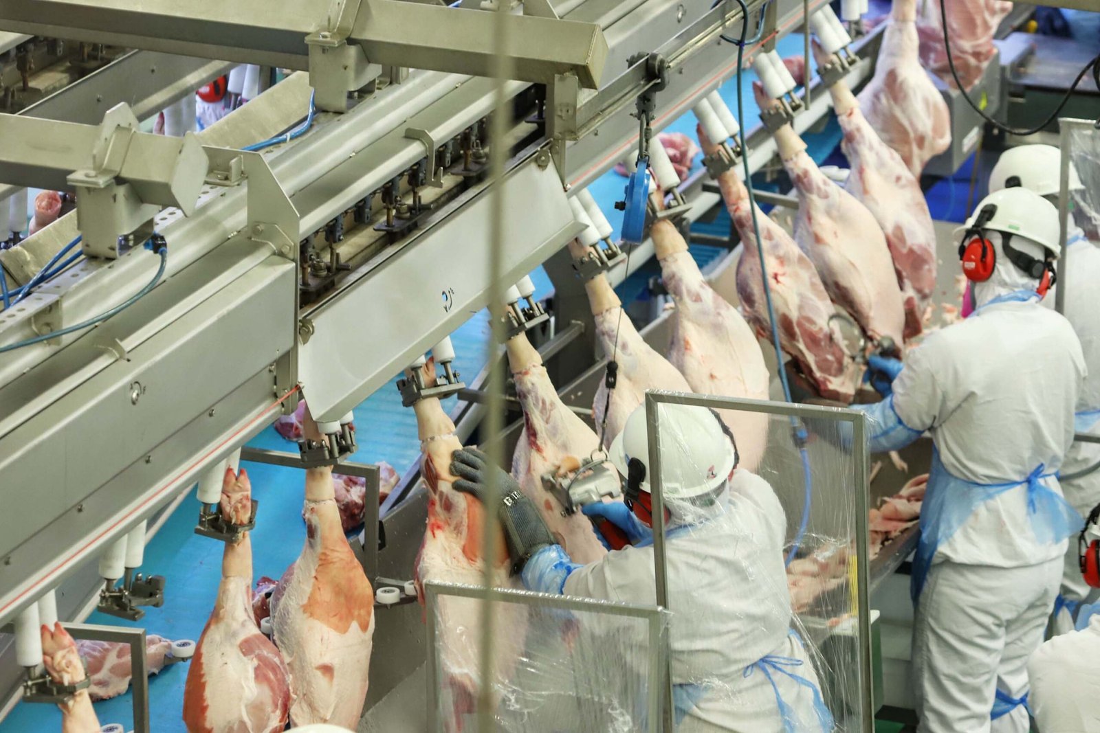 Paraná impulsiona exportações: carne registra crescimento de 20,8% e gera US$ 1,56 bilhão