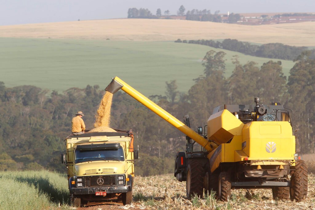 Apesar do clima: Paraná surpreende e anuncia safra de milho recorde para 2024/25