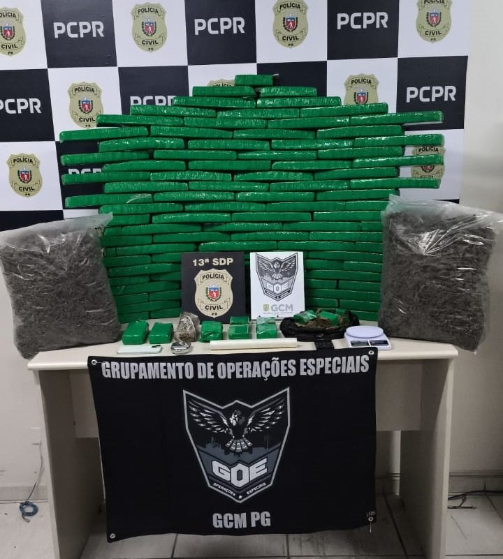 Ponta Grossa: operação conjunta da PCPR e GM desmantela depósito de drogas no bairro Ronda
