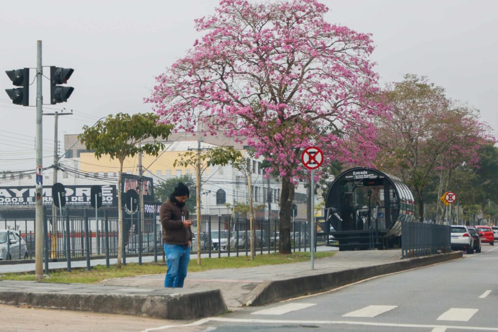 Paraná registra primeira temperatura negativa de 2025 em Palmas nesta sexta-feira