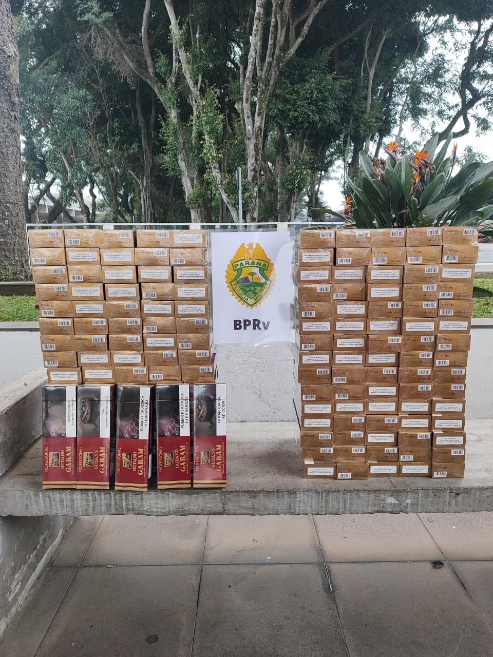 Operação na rodoviária: PM do Paraná intercepta tráfico de drogas e contrabando na capital