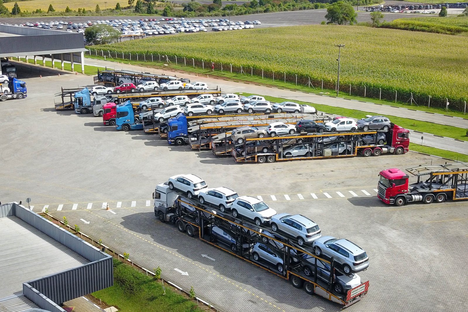 Boom nas exportações: Paraná vê vendas de automóveis e carnes dispararem em 2025