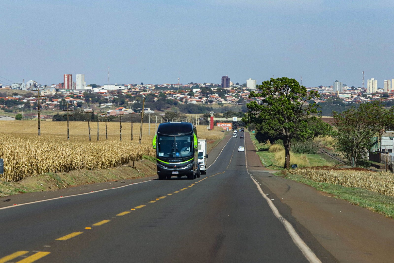 Serviço essencial: DER/PR lança convocação para operação de linhas de ônibus na região de Maringá