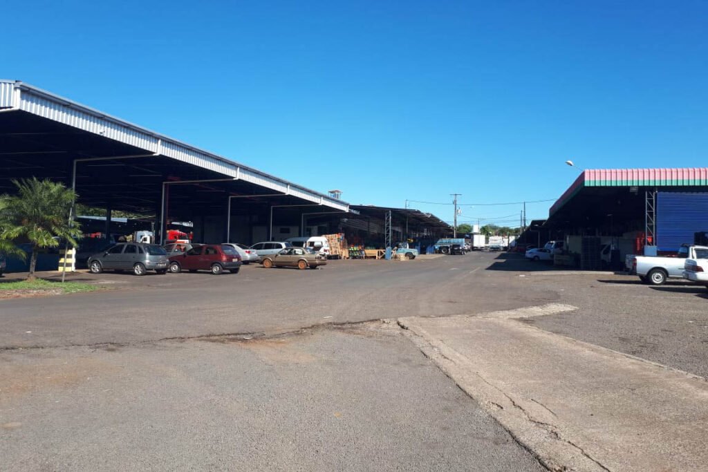 Ceasa de Foz do Iguaçu leiloa 15 áreas comerciais para venda de hortigranjeiros