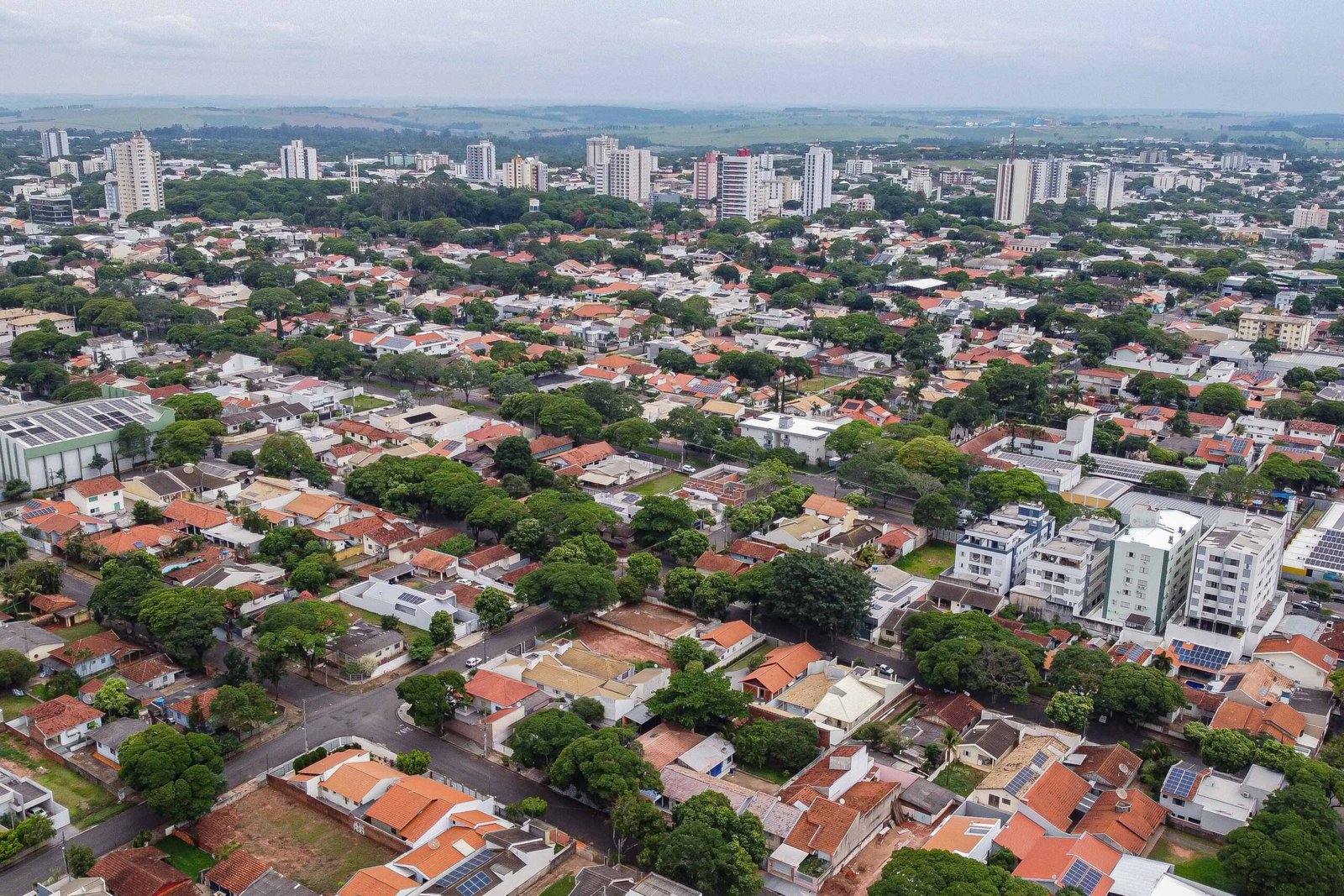 Empreendedorismo em alta: Paraná impulsiona economia com mais de 69 mil novas empresas