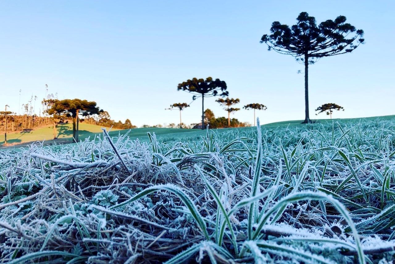 Tire o casaco e o cachecol do armário: o inverno começa nesta sexta no Paraná e o frio vem com força