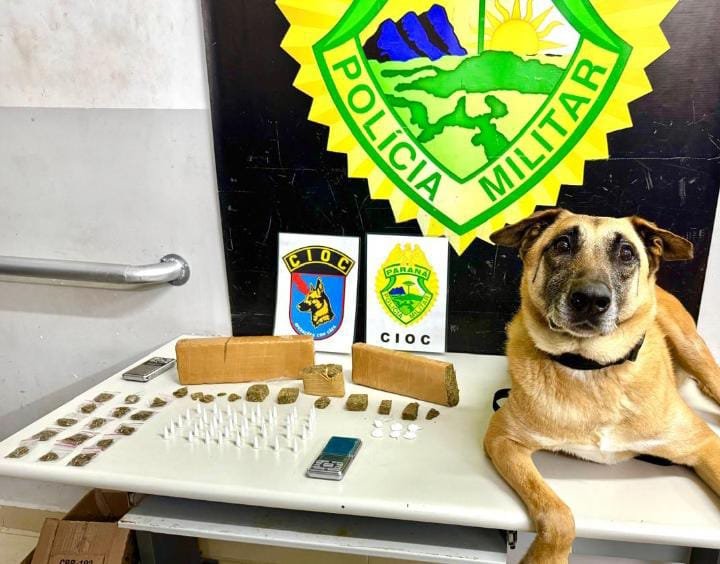 Um Faro Implacável Contra o Crime: Unidade Canina da PMPR Vive Semestre Histórico de Apreensões no Paraná