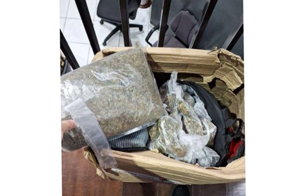 Não é Maconha Comum: Carga de 327 kg de Droga "Gourmet" é Apreendida pela Polícia no Paraná