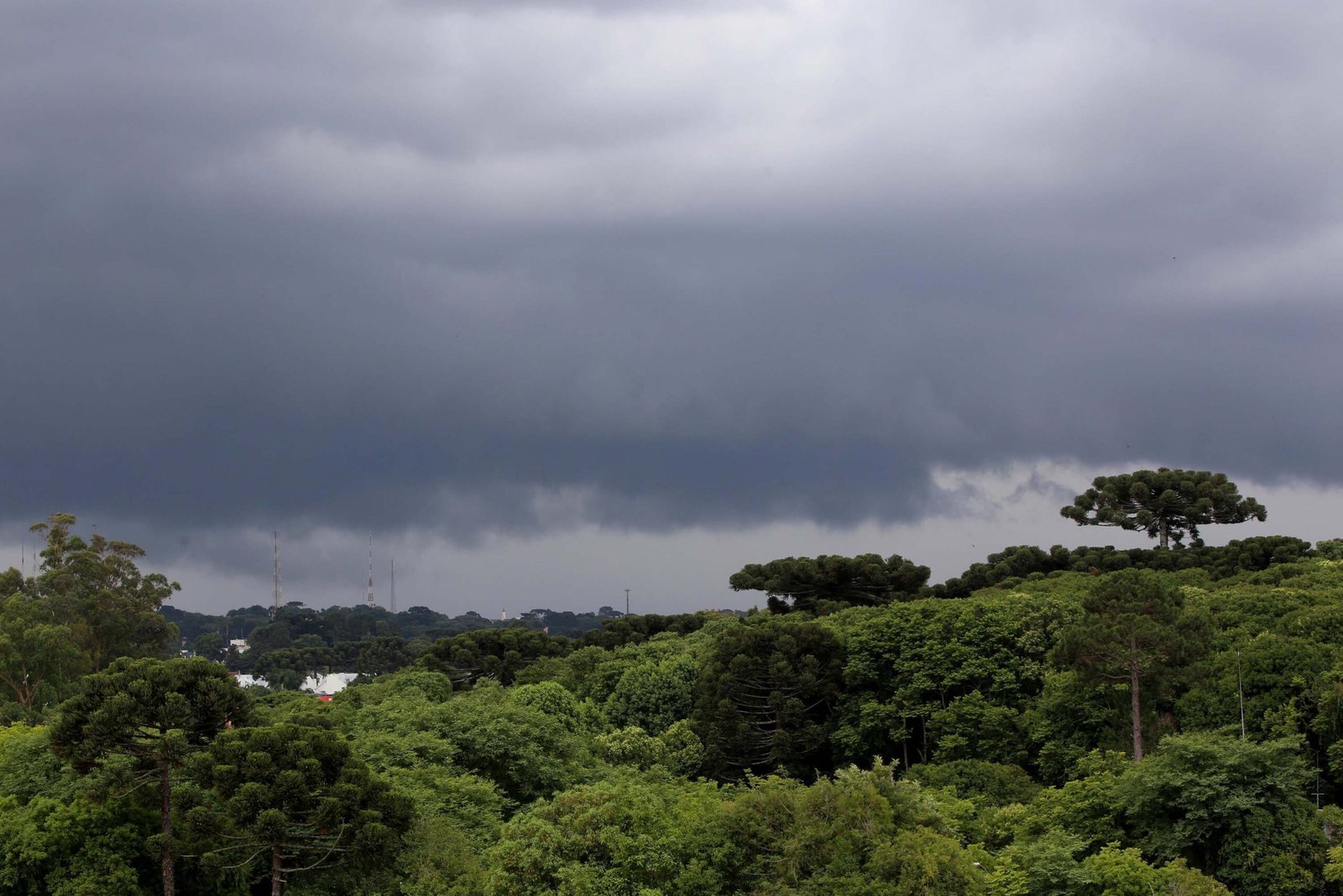 Depois da Chuva e Ventania, Paraná se Prepara Para Semana Congelante com Geada