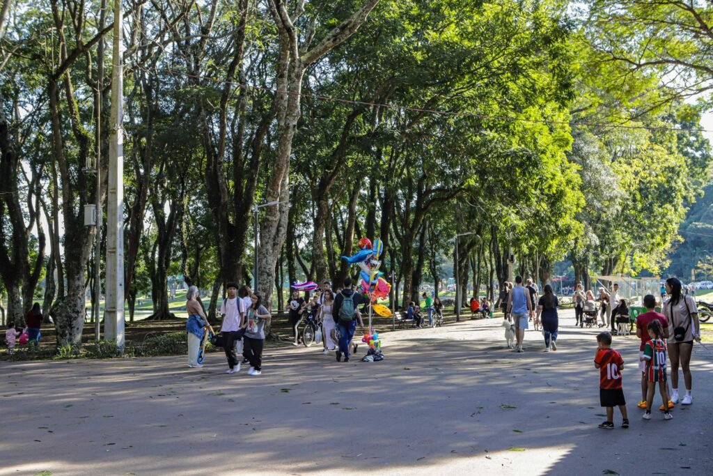 Do "Veranico" ao Inverno em 5 Dias: Paraná Terá Calorão no Início da Semana e Frio Intenso no Final