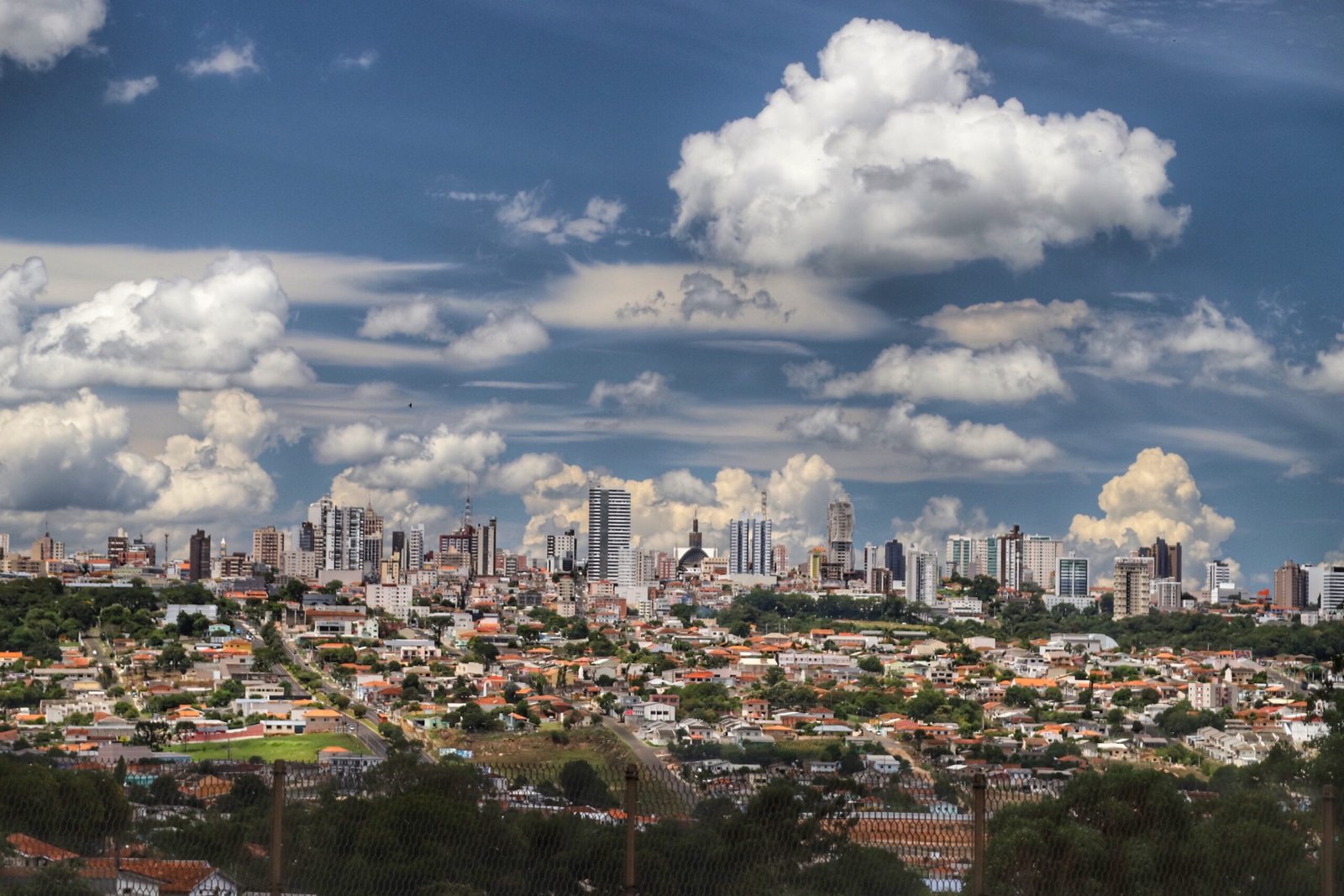Terra de oportunidades: Paraná é um dos estados que mais atraem migrantes no Brasil, aponta Censo