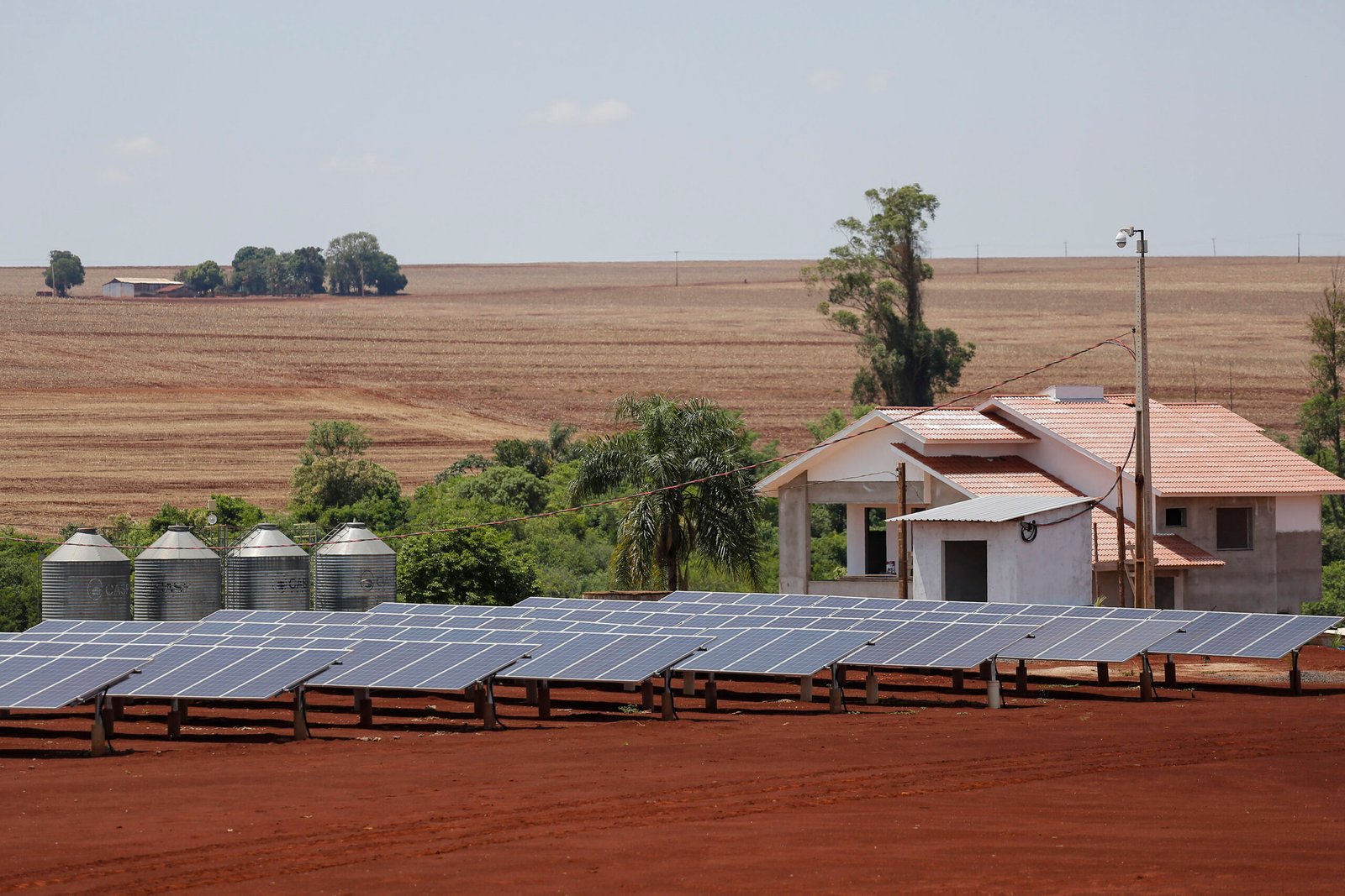 A Revolução Silenciosa no Campo: Como a Energia Solar e o Biogás Estão Transformando a Vida de Agricultores no Paraná