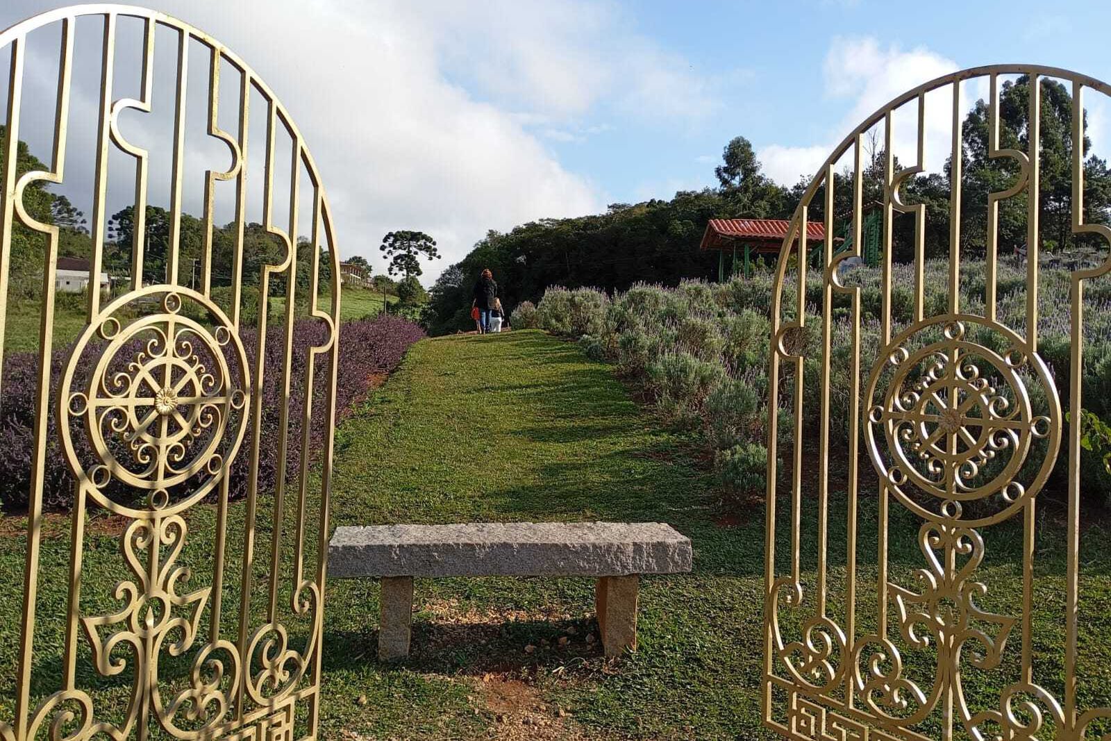 A Nova Renda do Campo: Como o Turismo Rural, da Lavanda às Caminhadas, Transforma a Economia do Paraná