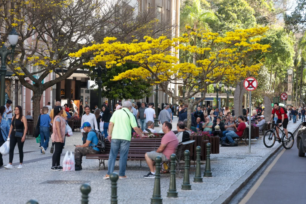Fim de Semana Dividido: Paraná Terá de Calor de 30°C no Norte a Tempo Nublado em Curitiba