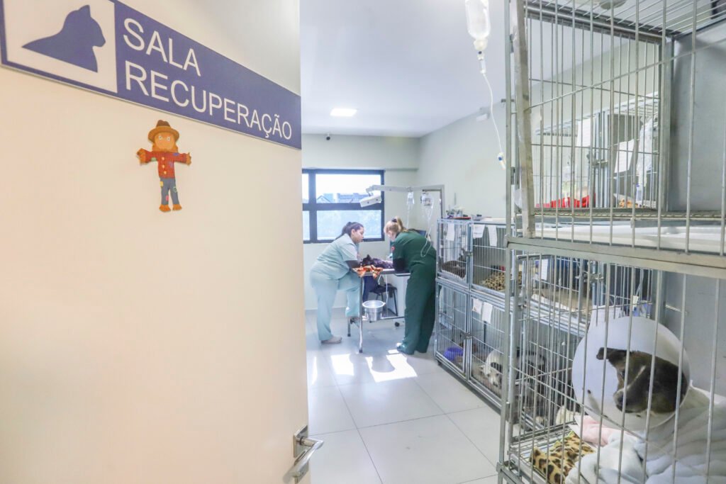 Curitiba anuncia 2º Hospital Veterinário gratuito para baixa renda e protetores