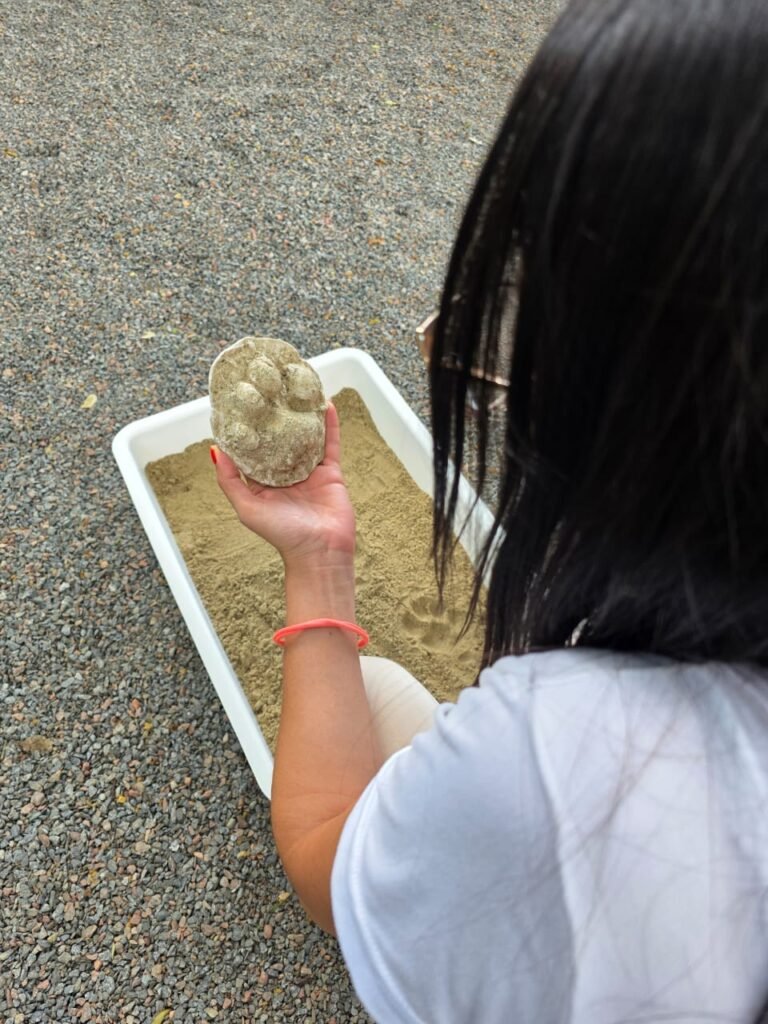 Férias com ciência: oficina gratuita em Curitiba transforma crianças em biólogos por um dia