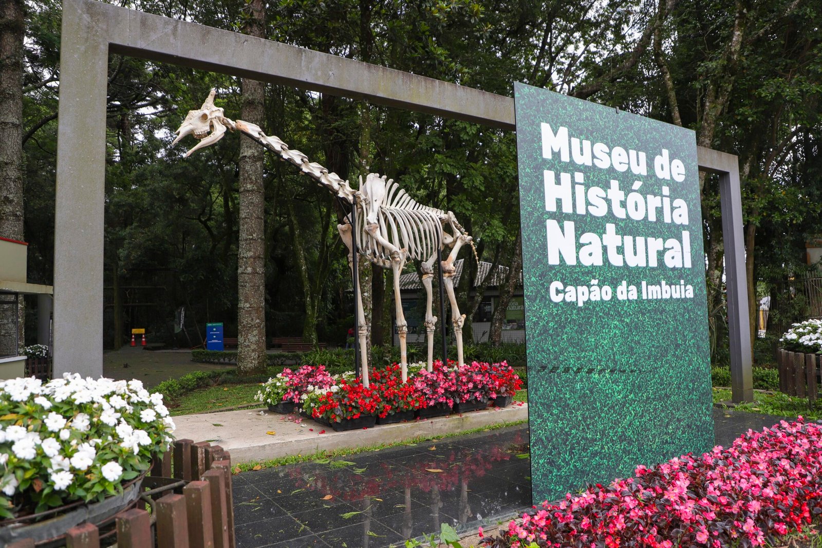 Férias com ciência: oficina gratuita em Curitiba transforma crianças em biólogos por um dia