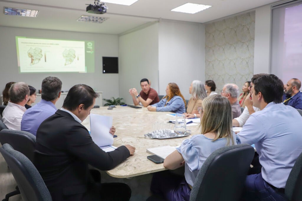 Curitiba aposta em 'mosquito do bem' e drones para blindar a cidade contra a dengue
