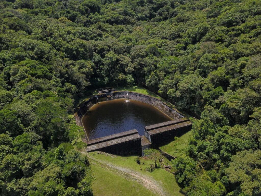 Férias sem gastar nada: 6 roteiros gratuitos na Grande Curitiba para curtir a natureza e a história em família