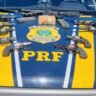 Arsenal no painel: PRF apreende fuzil com mira holográfica e 9 revólveres na BR-369 em Londrina