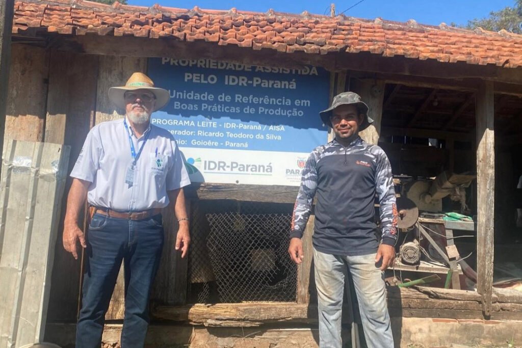 Mais leite, mais renda: Programa de manejo de solo e pastagens turbina a pecuária leiteira no Paraná