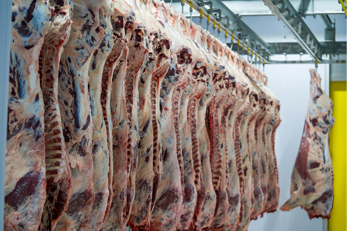 China impõe tarifa de 55% sobre carne bovina e medida afeta exportações do Brasil