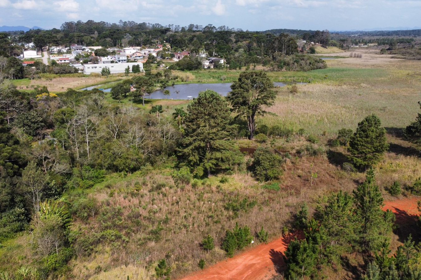 Amep lança plano de proteção ambiental revolucionário para Região Metropolitana de Curitiba
