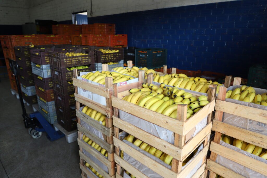 Alívio na gôndola: Preço dos alimentos cai pelo 3º mês seguido no Paraná; banana e leite puxam a fila