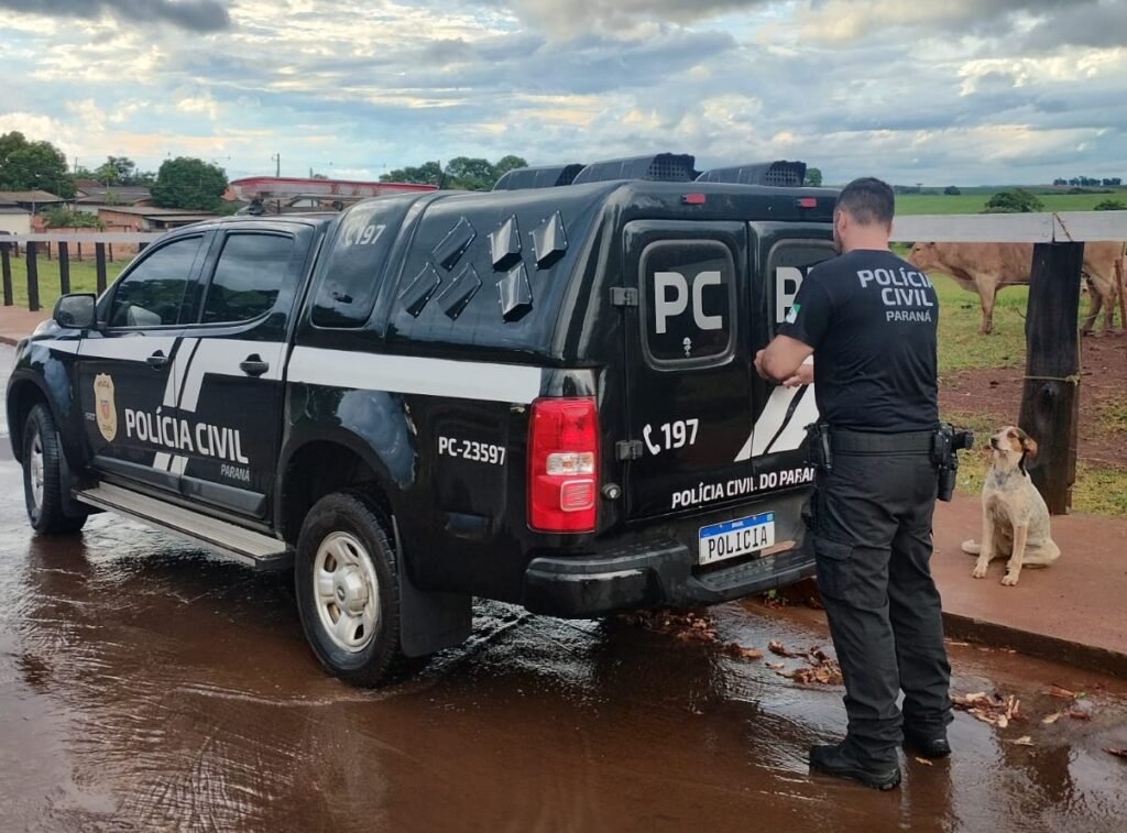 Tolerância zero: Polícia Civil prende 11 homens por crimes contra mulheres em ação coordenada no Paraná