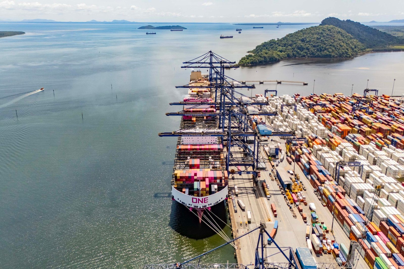 Potência logística: Porto de Paranaguá escoa quase metade das exportações de frango do Brasil no início do ano