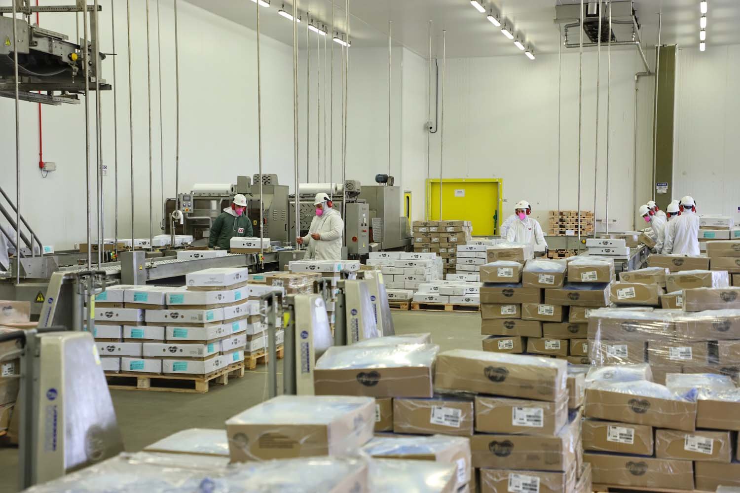 O passaporte da carne: status sanitário e diplomacia abrem mercados 'premium' para a suinocultura do Paraná