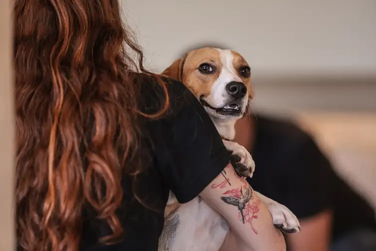 Educação e Empatia: Como ensinar crianças e adolescentes a respeitar os animais e prevenir a violência