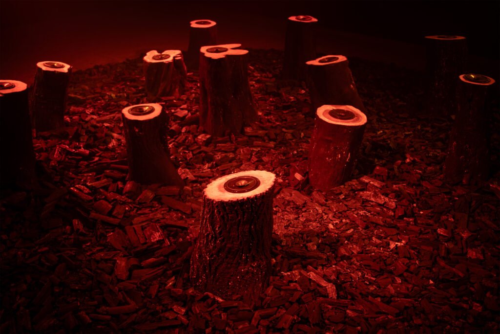 Mostra da 36ª Bienal de São Paulo chega ao MON com foco na relação humana com a terra