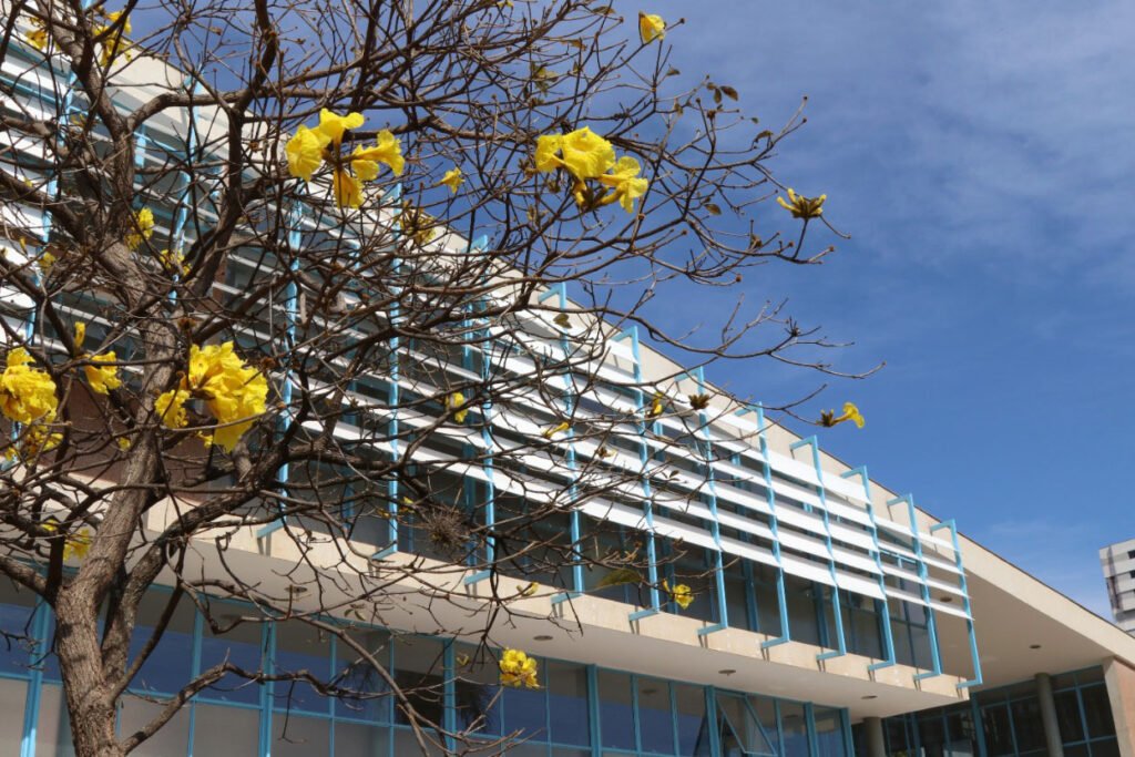Inédito: Museu Paranaense sai da capital e inaugura primeira sede no interior em Londrina