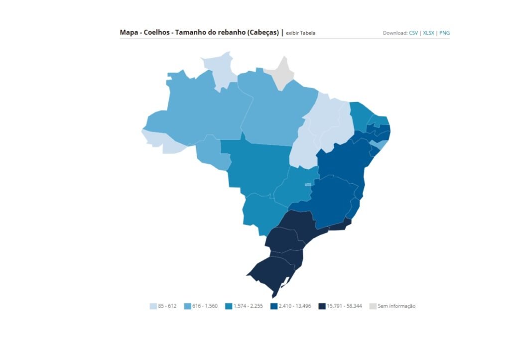 Criação de coelhos gera R$ 1,8 milhão no Paraná e busca mercado exportador