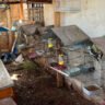 IAT e Polícia Civil estouram cativeiro e resgatam dezenas de pássaros em Assis Chateaubriand
