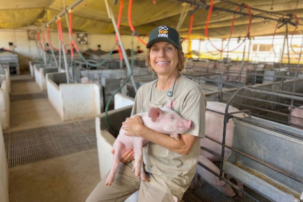 Programa Empreendedoras do Sul financia R$ 151 milhões para paranaenses