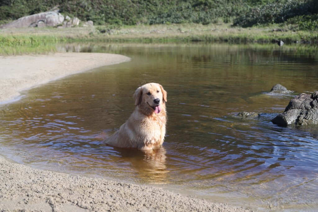 Fim de semana no Paraná terá sol e calor de verão antes da chegada de frente fria