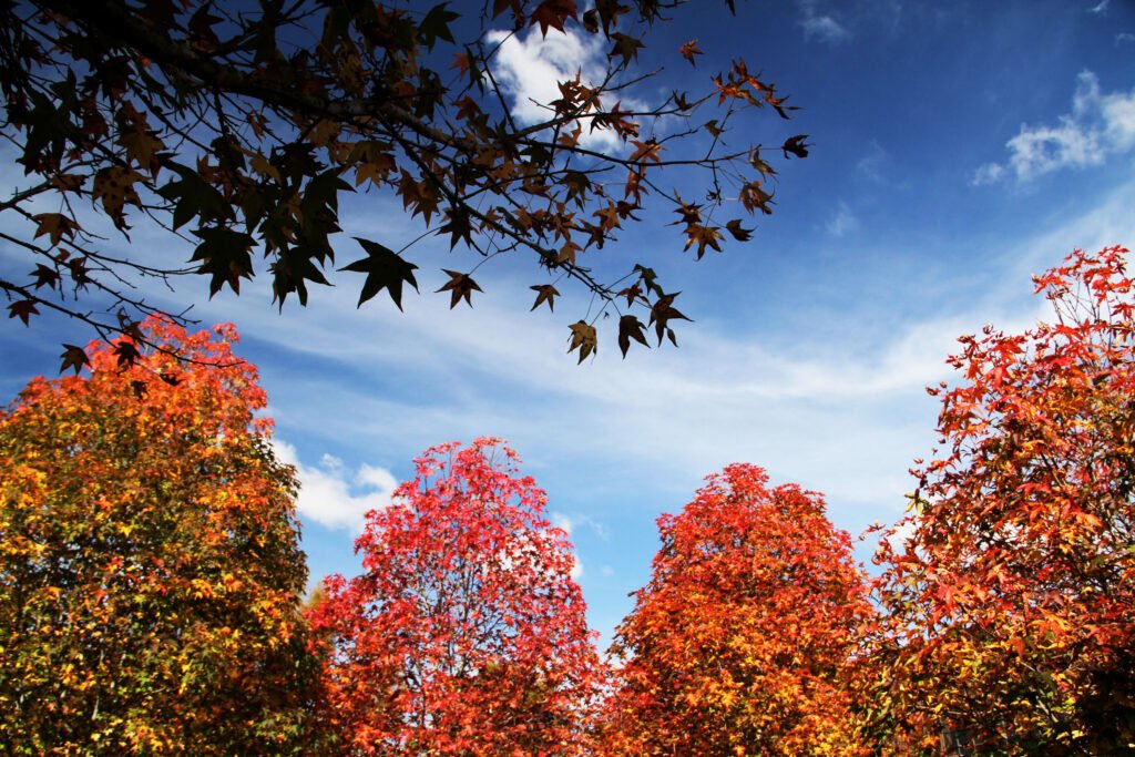 Sol, calor e pancadas de chuva: a previsão para o Paraná neste fim de semana