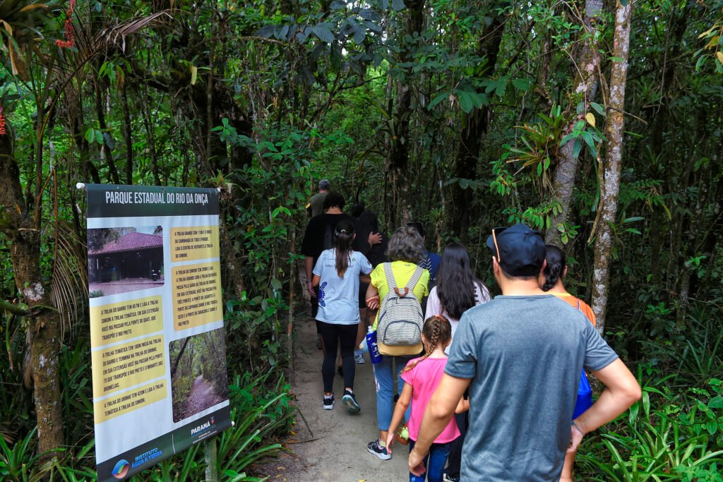 Muito além da praia: Parque Rio da Onça revela o coração da Mata Atlântica em Matinhos