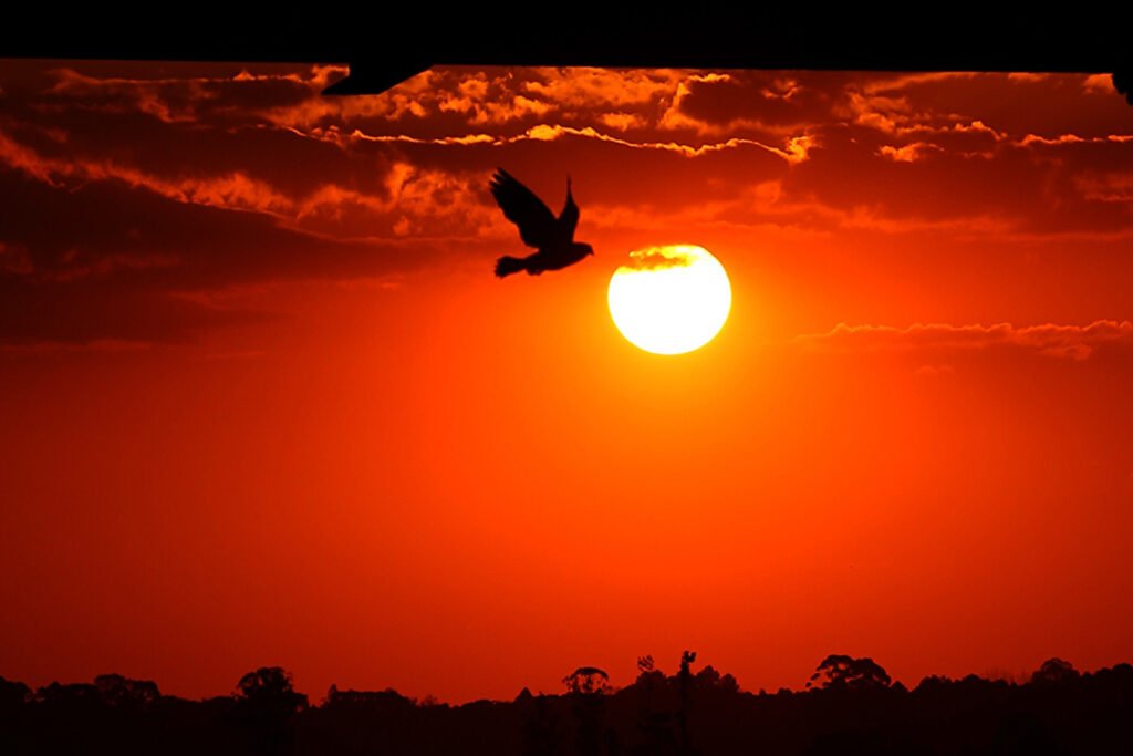 Outono de 2026 traz chuvas acima da média ao Paraná após verão marcado por extremos climáticos