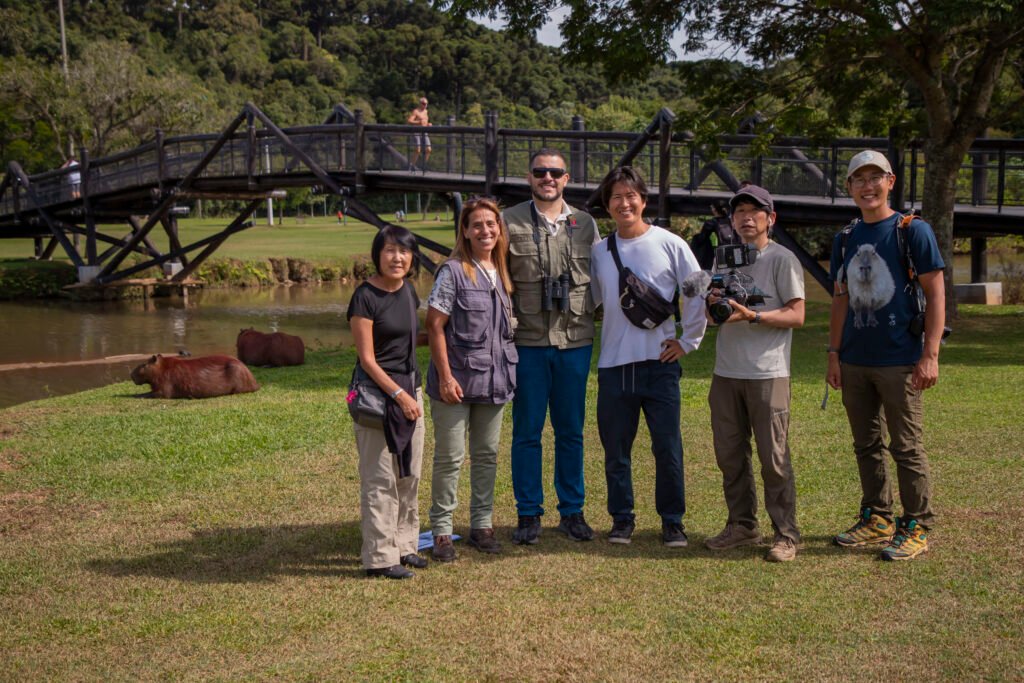 Fama internacional: capivaras de Curitiba estrelam documentário da TV pública do Japão