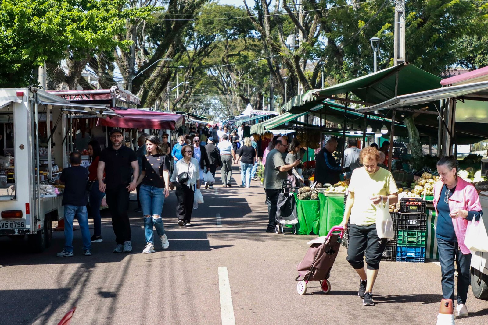 O que fazer em Curitiba neste sábado: cinema grátis no CIC e feiras nos bairros